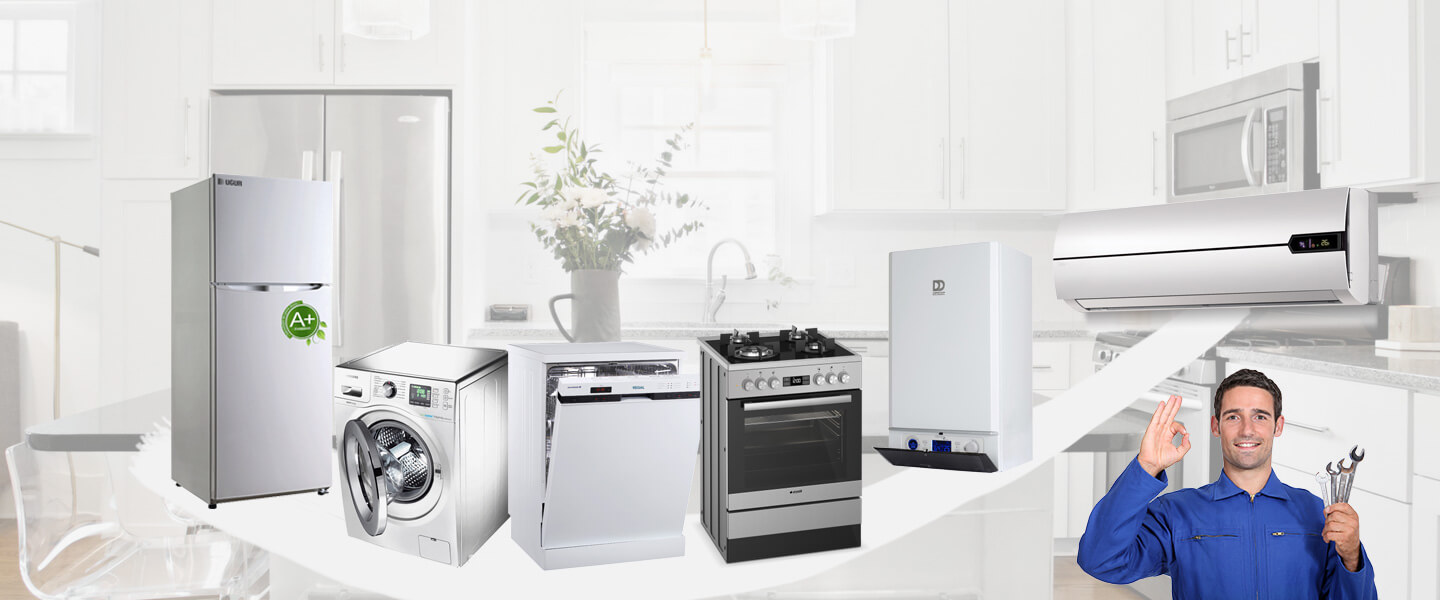 Tortum Warmhaus Servisi